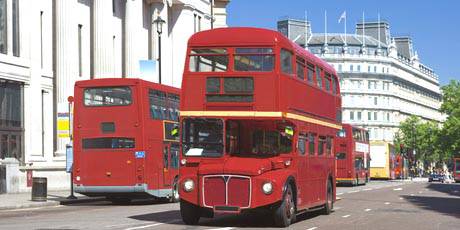 Red Buses